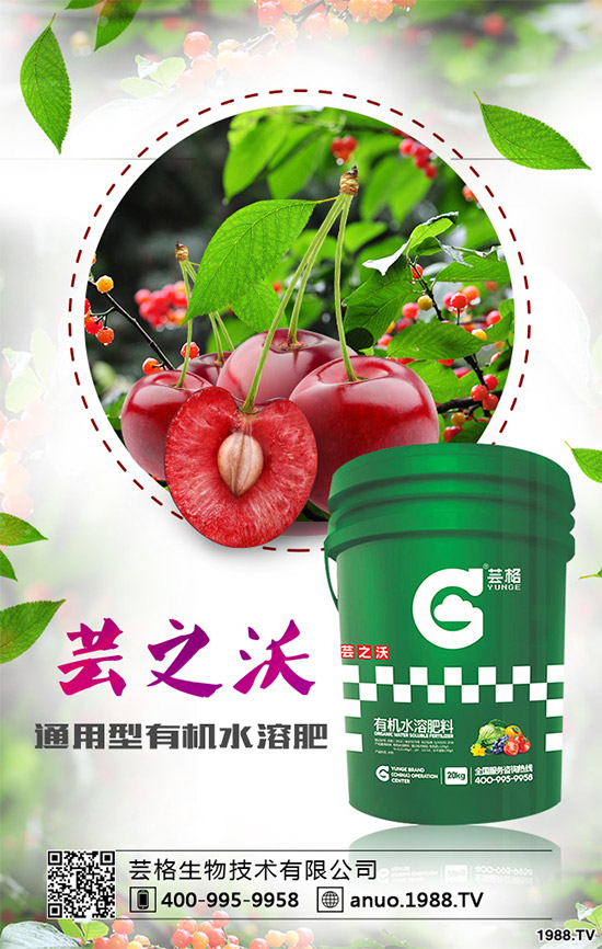 ������ԓ��ηNֲ��������ķNֲ��������