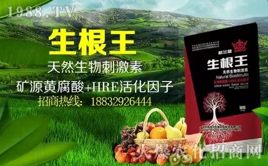 С���q�r(ji��)����(g��)�e��(b��o)�r(ji��)���^(gu��)2500Ԫ/����