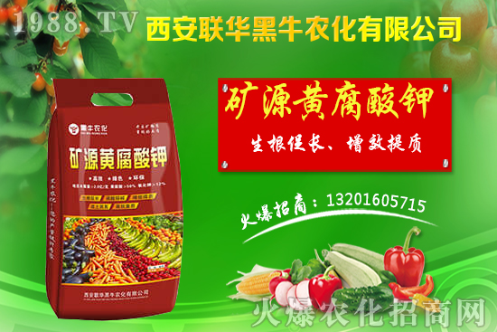 �＾����ԓ��ι������＾������푪(y��ng)������Ĵ��`�^(q��)��