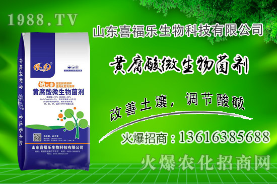 �����r(ji��)��(w��n)��ƫ��(qi��ng)��2020��10��14�ջ����r(ji��)���������