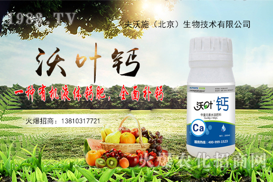 花生還會再漲嗎?2020年10月20日花生價格行情