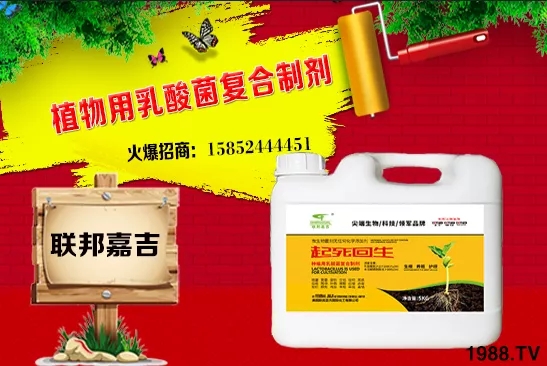 ���[���L�l������Щ�����[������c���＾������