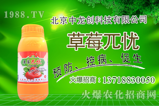 �������m�ϷNֲʲô��ˎ�ģ����@�����׷N��Щ��ˎ����