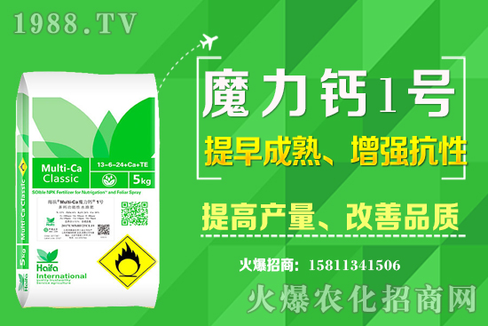 ʮ����Ѯ�m�ϷNֲʲô��ˎ������Щ��ˎ��ٍ�X����ߣ�