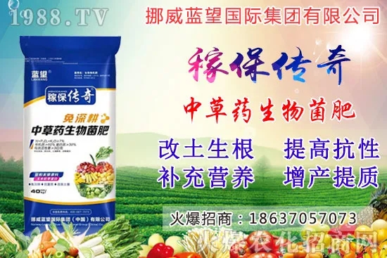 越冬菠菜施肥要注意什么問(wèn)題?越冬菠菜施肥四大原則!