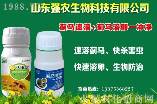 �ﶬ11�·Nֲʲô�߲˱��^���m���߲˷Nֲע�������