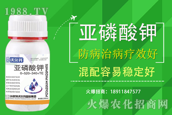 �������Ҫ��������ʲô������֮�g��ʲô�Pע��