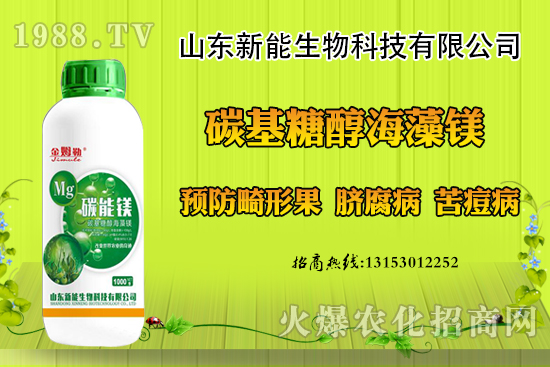 ���������ݮ���ι�ԭ�򣬳��F(xi��n)���ι���ô������