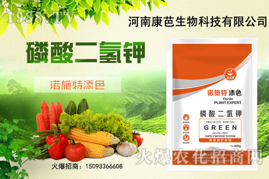 �������￹�����������⛼����������������8����