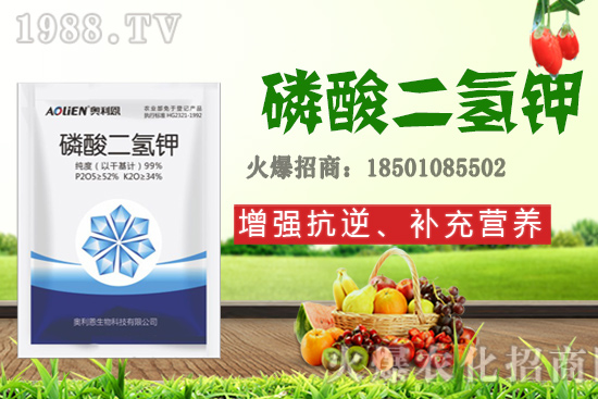 �����Ѿ���+�|̦�أ�������������ʲô������