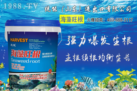 С���Nֲ�r�g��δ_����2020��С���Nֲע����Щ���}��