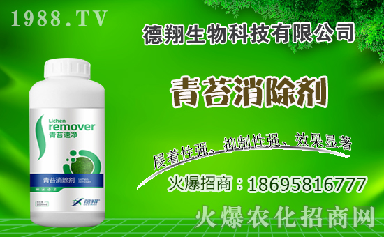 �Ͳ�ʲô�r(sh��)�g�Nֲ���Ͳ˷Nֲ������ʲô������Щע�����(xi��ng)��