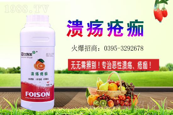 2021年石榴種植收益如何?石榴的利潤前景怎么樣?