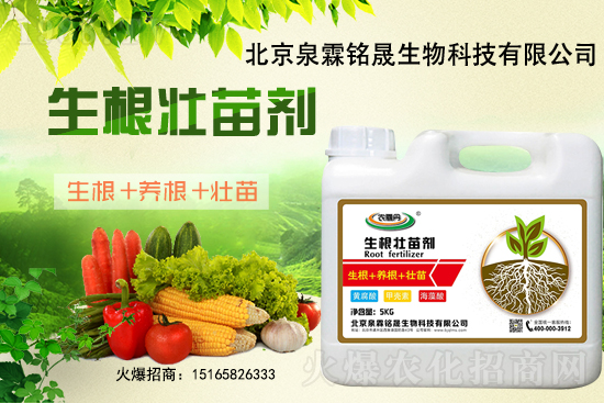 һ���y����2020-11-25�|�����ϝqѸ��