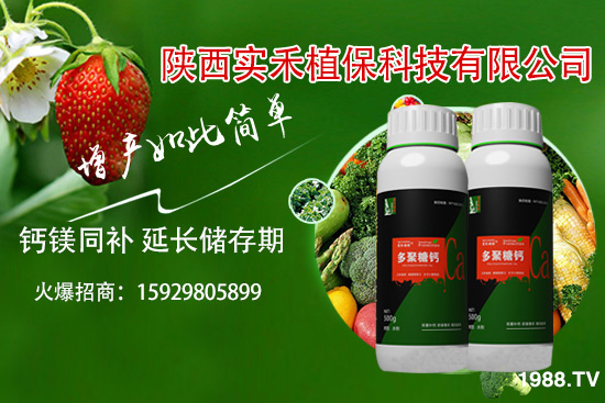 ���t�����~��ʲôԭ�������t�����~���δ�ʩ����Щ��