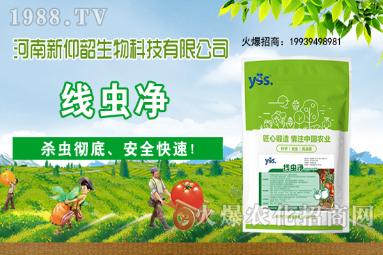 11��6�Շ���(n��i)С���r(ji��)���ව(w��n)���ֲ�С������(d��ng)��