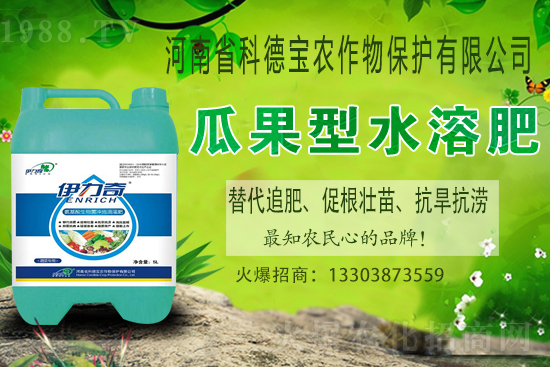 �����M��Ě��ʲô�r�����������������x�M��Ě�ȣ�