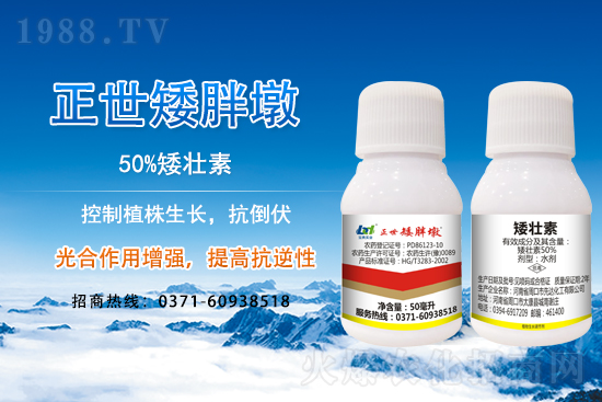 С����ǰ���L��ʲôΣ������ȡʲô��ʩ����Ч��ͽ�L��