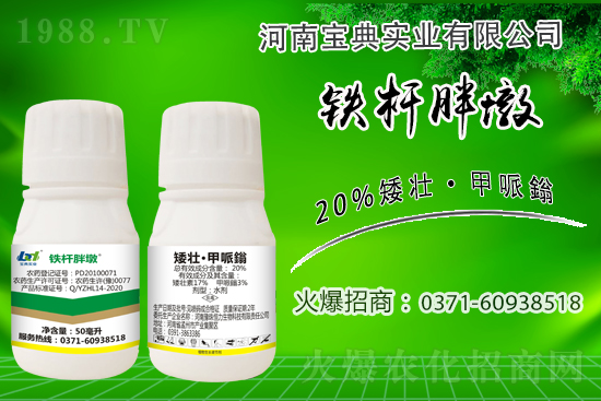 С����ǰ���L��ʲôΣ������ȡʲô��ʩ����Ч��ͽ�L��