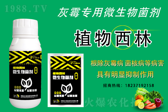 ��ù�������ε�ԭ����ô������Ч������