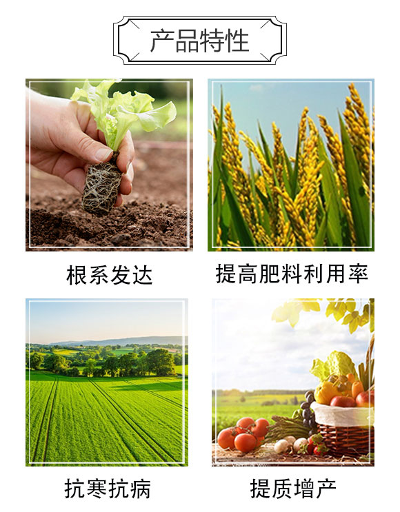 ��Ч�VԴ�S�����-�����r(n��ng)�I(y��)_03