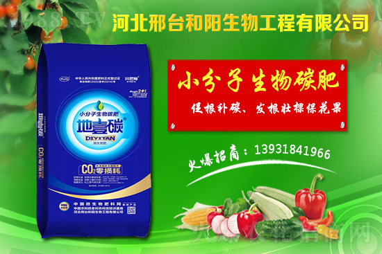 ����(ji��)ǰС���r��������q������С���r��������