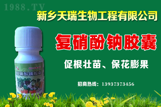 大蔥一畝地能產(chǎn)多少斤?大蔥價(jià)格為何上漲?