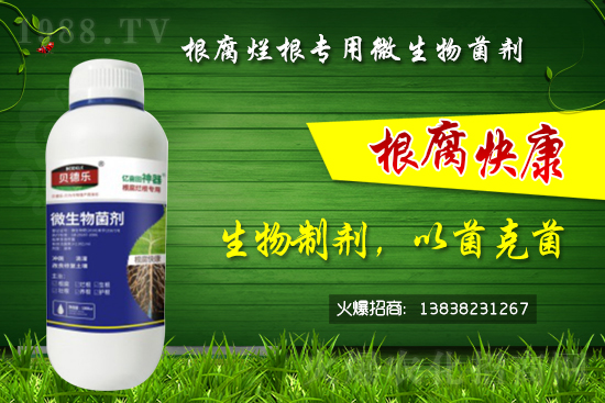 ΢������������θ�����������ô�x����