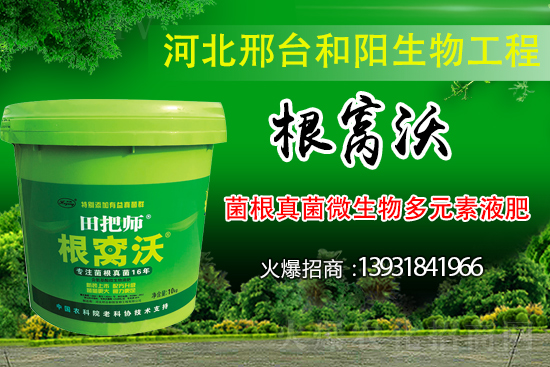 ��Щ��������������������ȡʲô��ʩ���Է�����