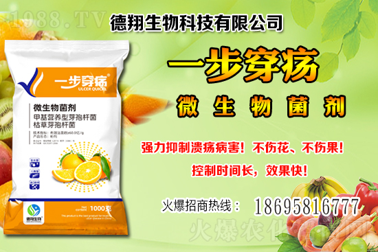 ���a(ch��n)�󶹃r(ji��)��(w��n)���е���2020-12-21�����������ֵ؅^(q��)��������