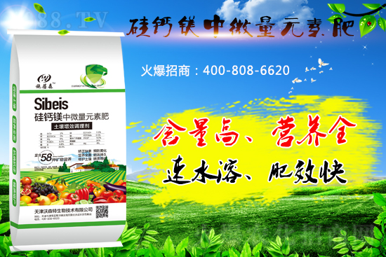 硅鈣鎂元素肥你了解多少?好處有哪些?