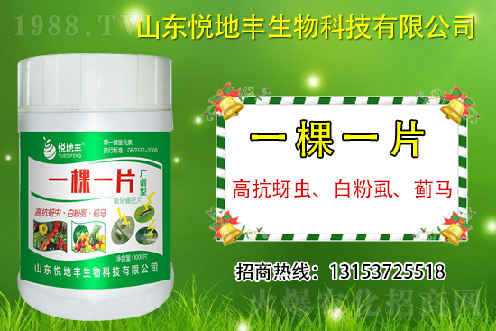 �߿����x���׷�ʭ���E�R��ʲô����һ�x������