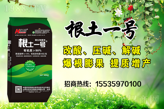     ΢��������е�΢������ʲô������΢�����������θ�����������