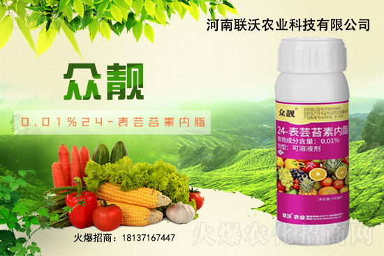 草莓膨果期著色期,如何快速膨果、均勻上色?