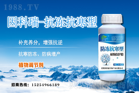 ���յ��ȃr(ji��)������Xһ����2020��12��9�յ��ȃr(ji��)������