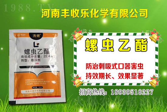 2021���޻��NֲƷ�Nԓ��ô�x���޻��x�NҪע����Щ���}��