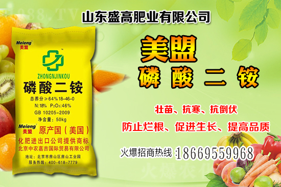 近期小麥價(jià)格還會(huì)繼續(xù)上漲嗎?12月小麥價(jià)格行情分析