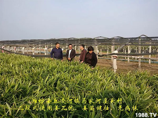     �l(f��)�������a(ch��n)Ʒ������أ�n������ʽ���ؠ����Ӳ����Ñ���������Ч����������