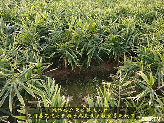     �l(f��)�������a(ch��n)Ʒ������أ�n������ʽ���ؠ����Ӳ����Ñ���������Ч�������ˣ�