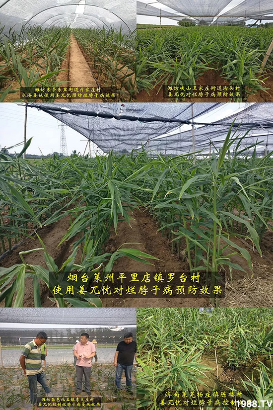     �l(f��)�������a(ch��n)Ʒ������أ�n������ʽ���ؠ����Ӳ����Ñ���������Ч�������ˣ�