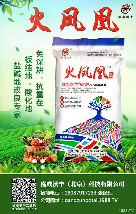 ��Ҋ�������ɺ��x����Щ���������ɺ��x���������