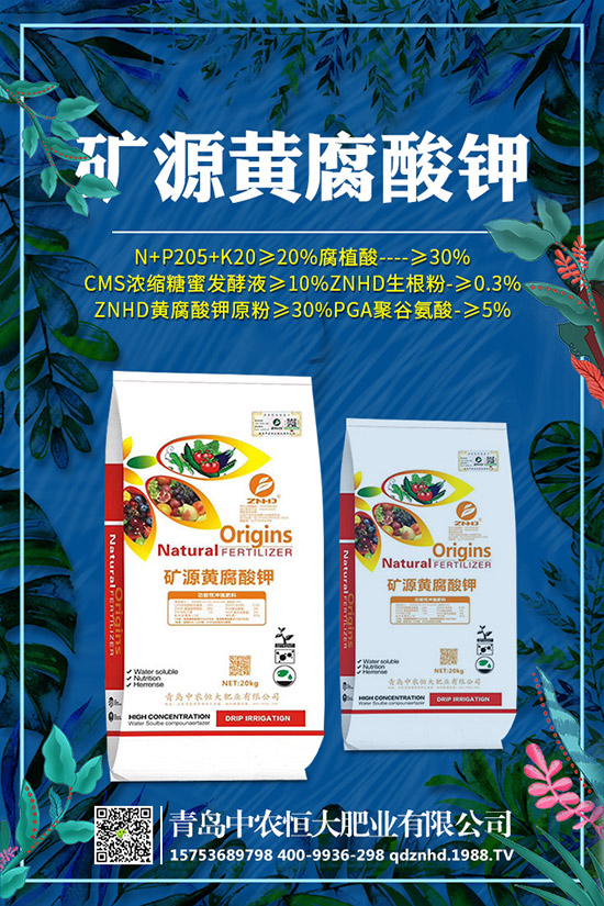 �紺���˷Nֲ���g(sh��)����Щ�����g����Ҫע��ʲô��