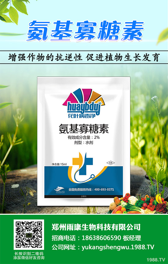 �Q��ԓ��ô�N���Q���ķNֲ���g(sh��)����������Ҫ�c