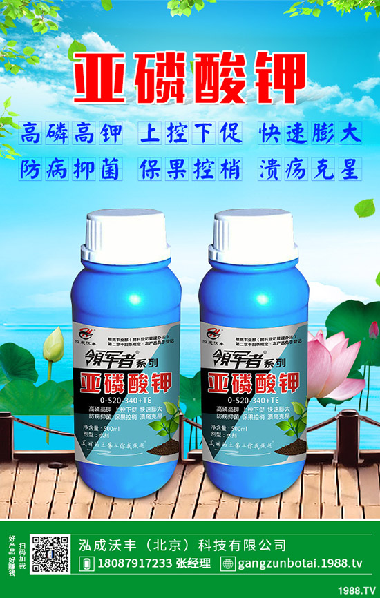 �ЙC(j��)�߲��c�o�����߲˵ą^(q��)�e���o�����߲���η��x��