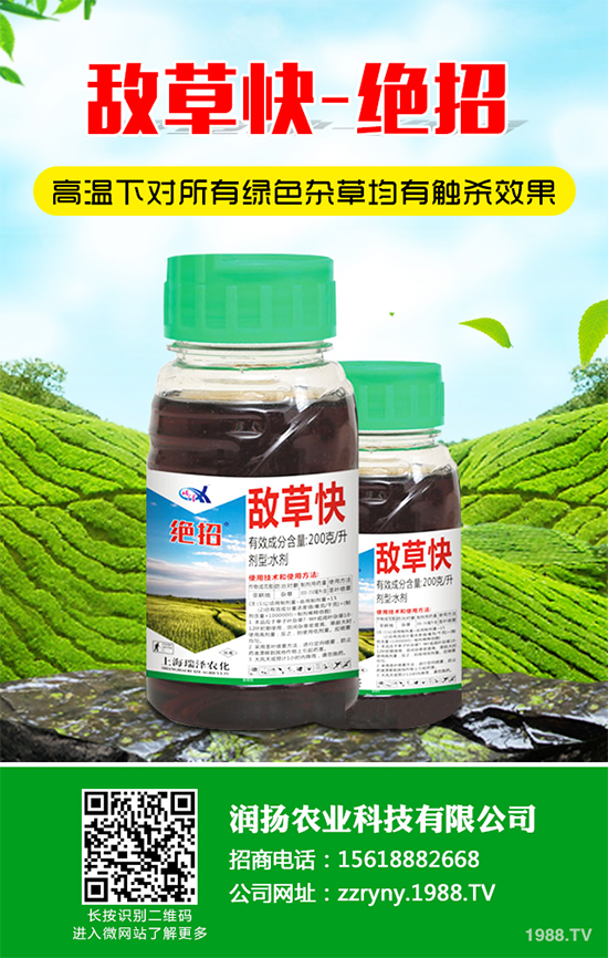 ���׻�¡���݄��r��