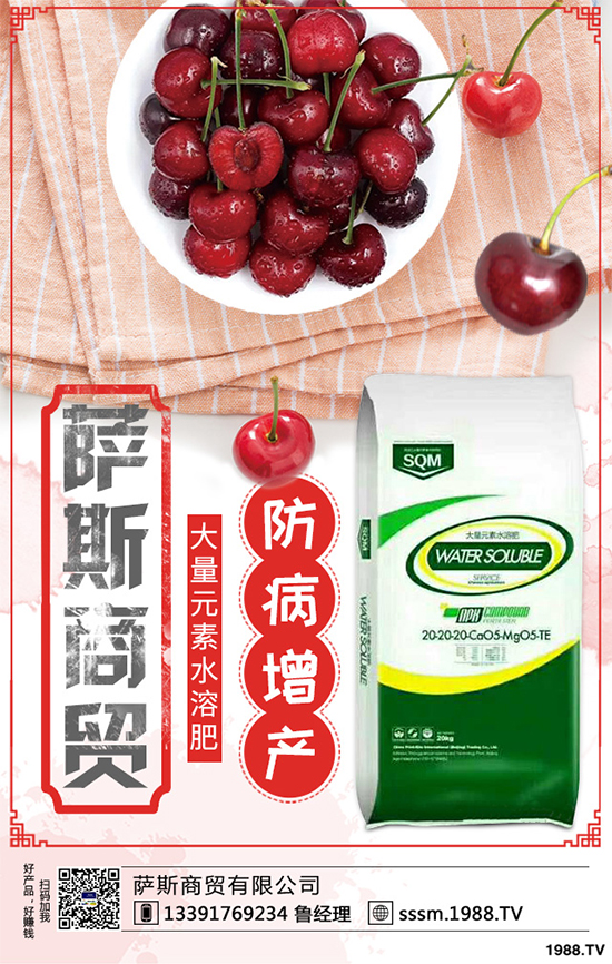 ������ԓ��ηNֲ���紺���׸߮a(ch��n)�Nֲ���gҪ�c