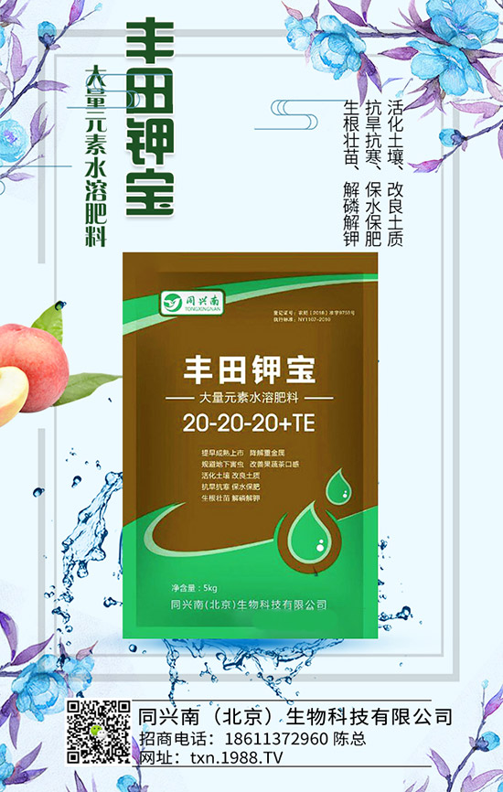 �㶹ʲô�r��N���㶹�Nֲ�r�g���NֲҪ�c��