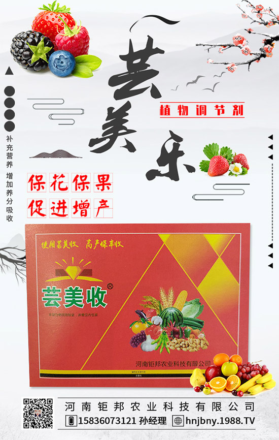 �����׽�����ʲôΣ���������׽����ķ��δ�ʩ��