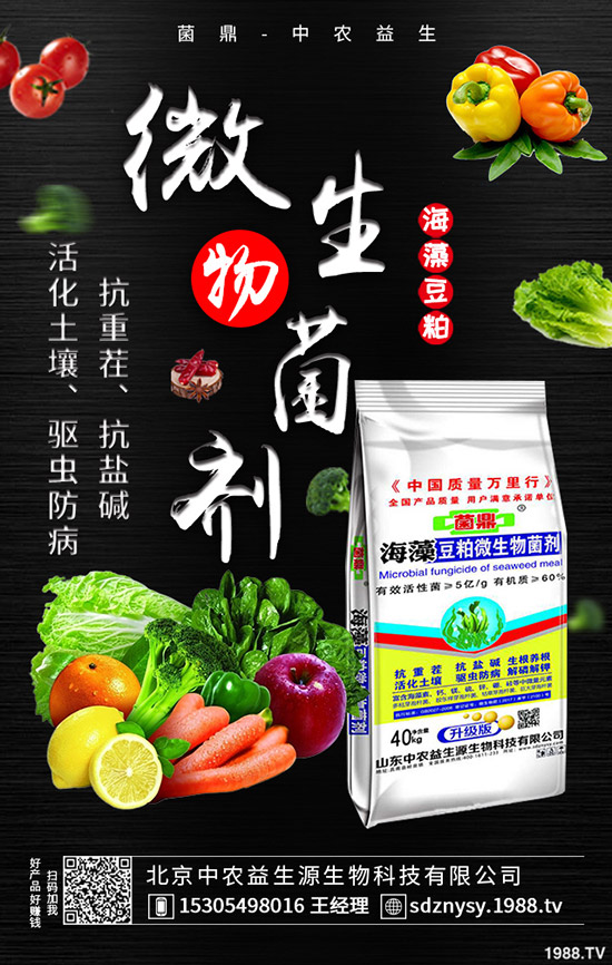 二銨全力發(fā)運(yùn)春耕需求,價(jià)格穩(wěn)定!最新二銨行情走勢2020-3-28!