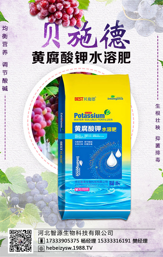 �۲˵ĠI�B(y��ng)�rֵ����Щ�������۲���ʲô��̎��